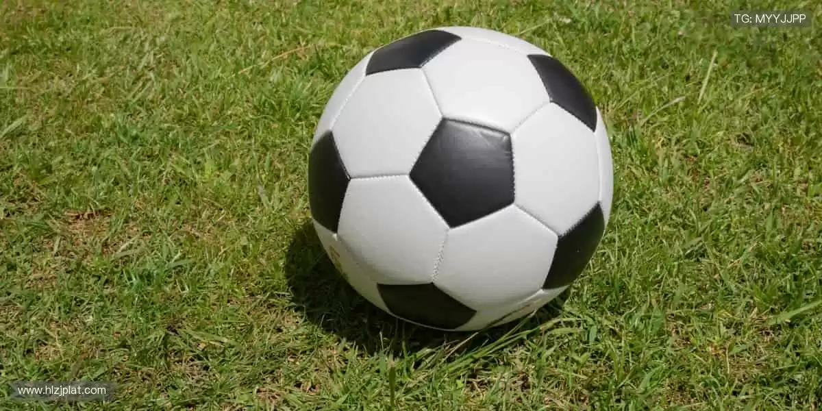 💻互动弹幕，让热爱不再孤单！